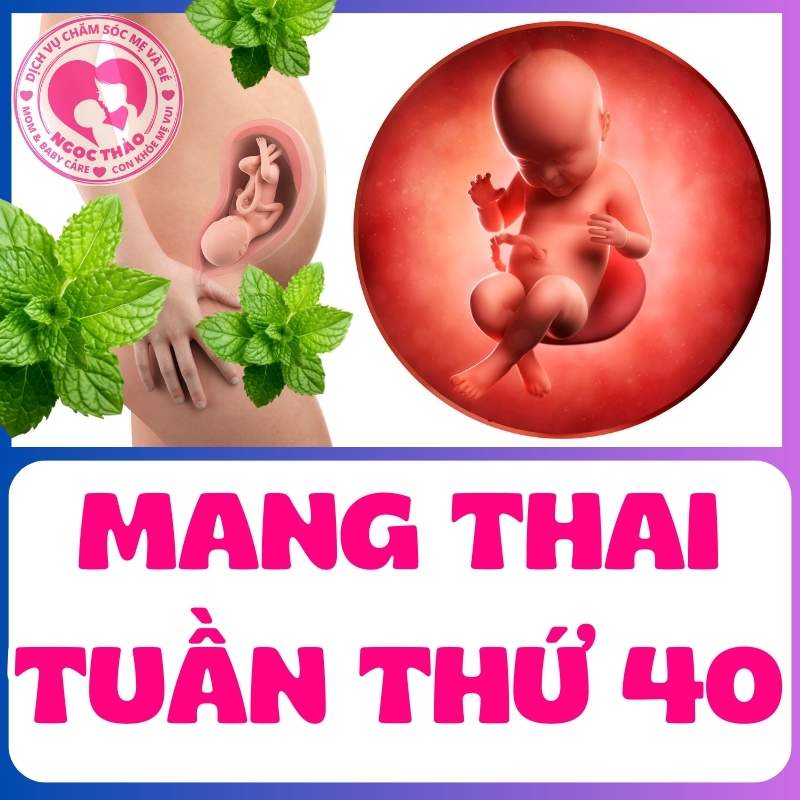 Mang thai tuần thứ 40, sự phát triển của thai nhi